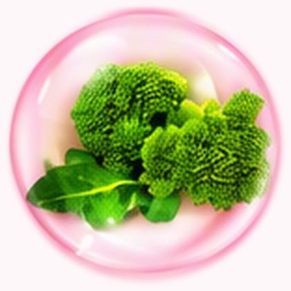 กรดอัลฟาไลโปอิก (Alpha-Lipoic Acid)