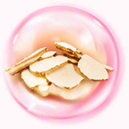 สารสกัดตังกุย (Angelica sinensis Extract (Dong Quai))