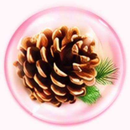 สารสกัดเปลือกสน (Pine Bark Extract)